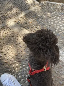 lucky