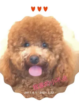 小不点