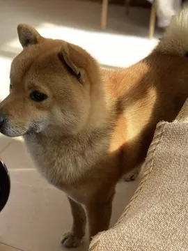 一等