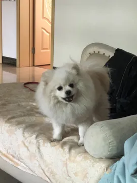 星星