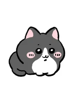 咪十二