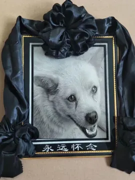 小黄