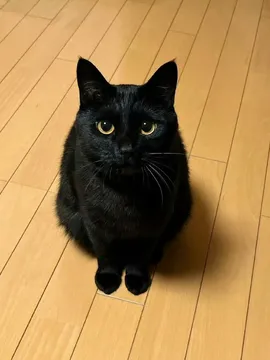 拖拉机