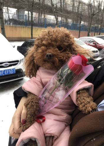 邹小宝（宝宝）