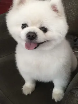 小七
