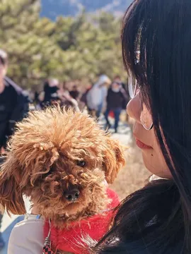 妞妞